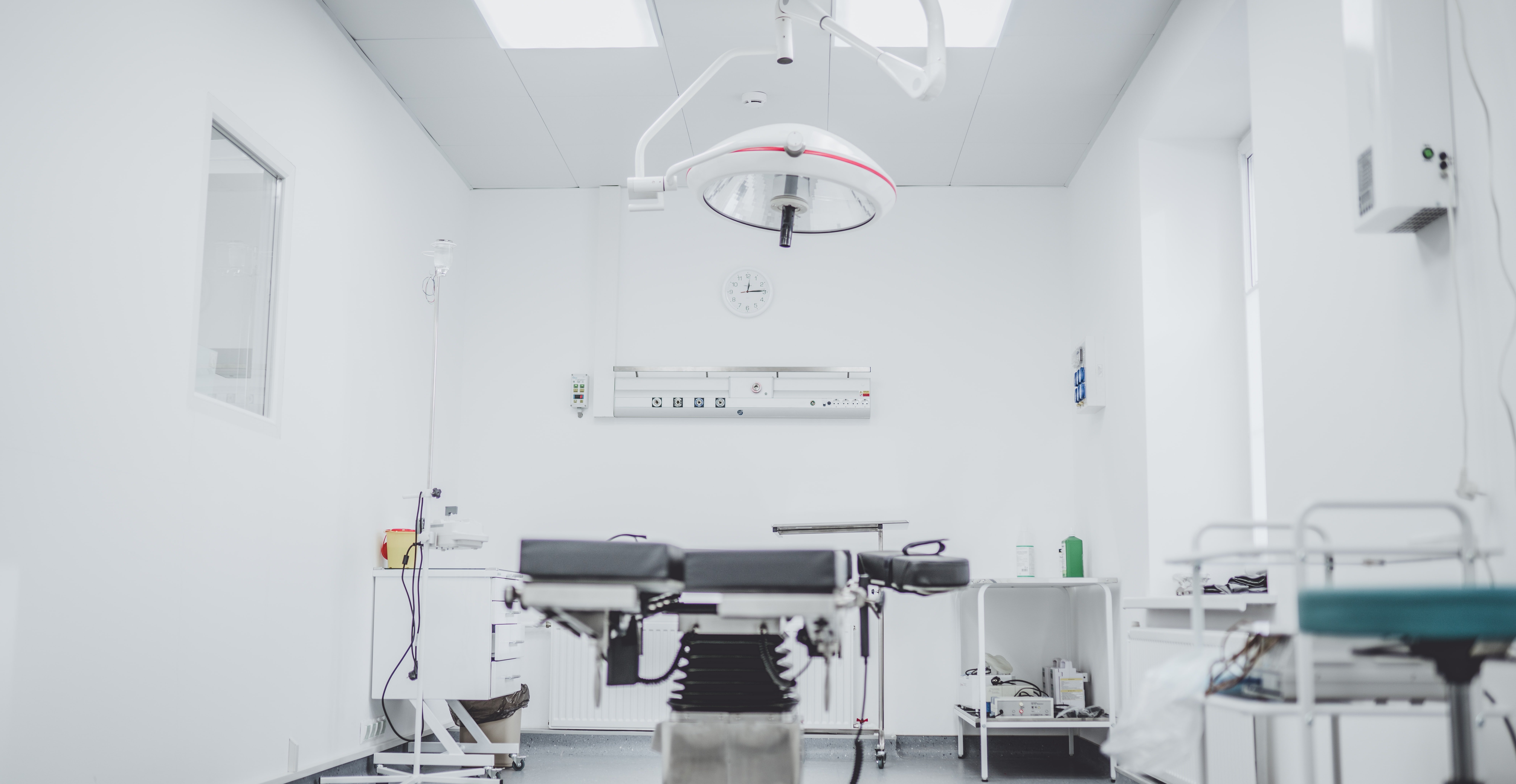 arseny-togulev-DE6rYp1nAho-unsplash