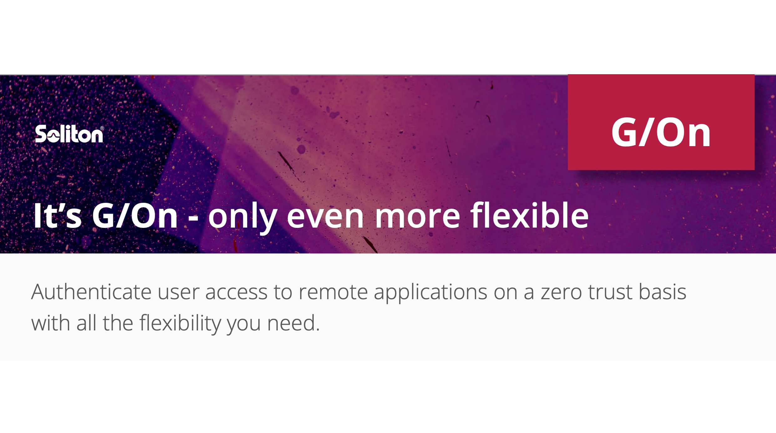 (EN) Soliton Sytems one-pager-Flexible Authentication GOn_