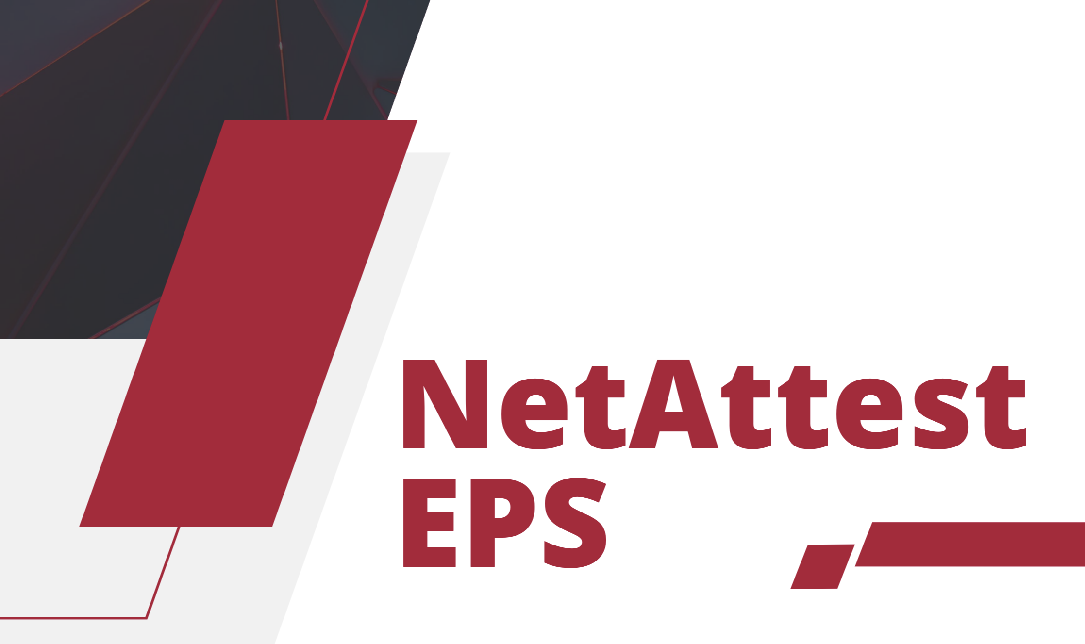 NetAttest EPS-1