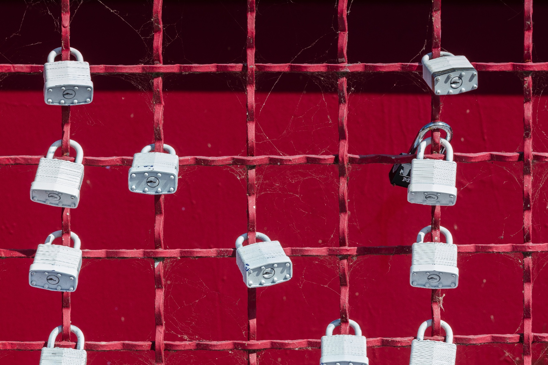 red metallic fence with white locks hanging from it